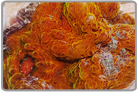 Orange Chalice Coral Frag
